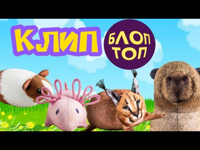 КЛИП БЛОПТОП (CAFARD-БЛОПТОП) @bloptop