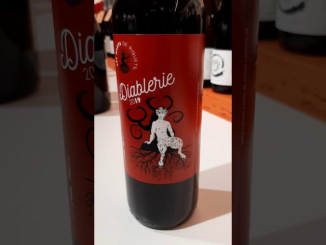 Domaine Les Hauts de Riquets Côtes de Duras rouge Diablerie 2019