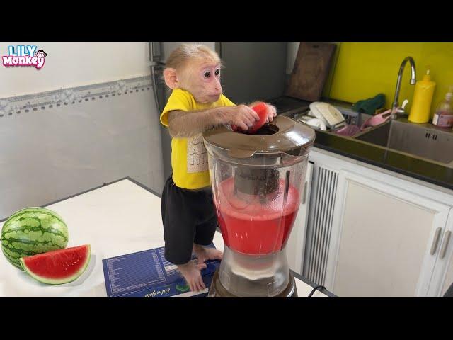 Monkey Lily obediently helps dad buy watermelon to make juice