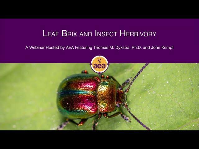 How Brix Levels Impact Insect Pressure on Plants | Dr. Thomas Dykstra