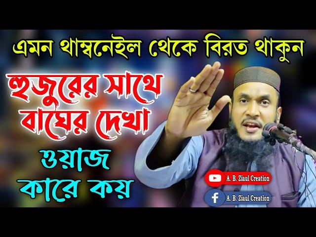 Maulana Ali Ahmed || Bangla New Waz || মওলানা আলি আহমেদ || A. B. Ziaul Creation