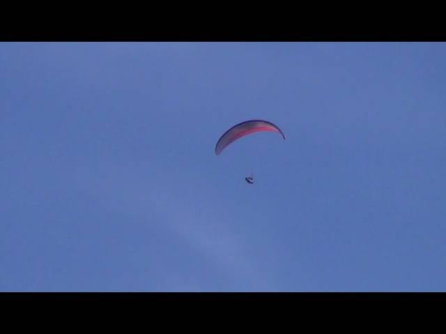 Paragliding SIV 2015 - Ozone Delta 2