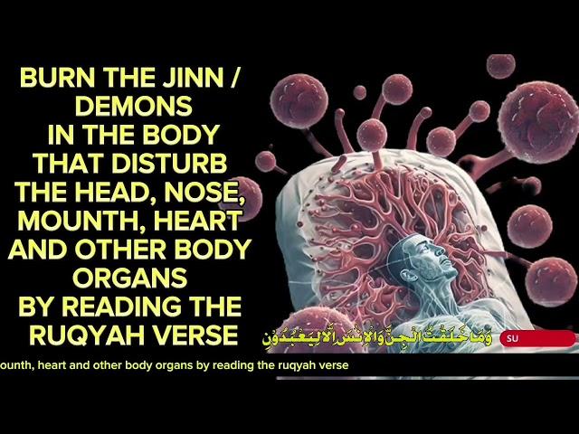 BURNING THE JINN/DEMONS WITHIN THE BODY THAT DISTURB THE ORGANS BY RECITING RUQYAH VERSES