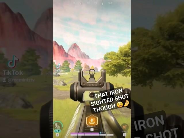 The Iron Sights in Farlight 84 