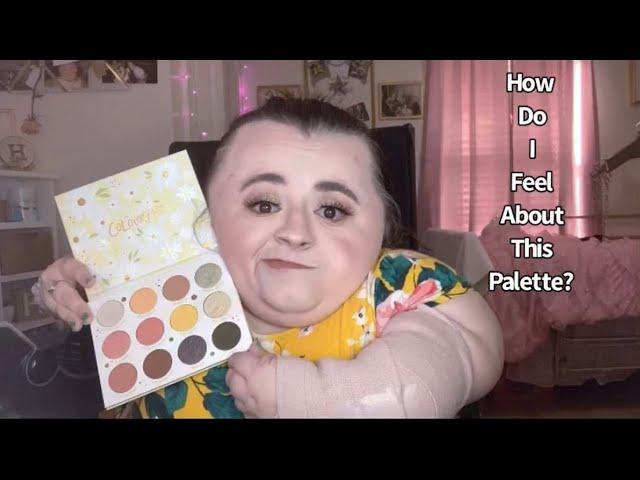 Review: On The Colourpop Daisy Does It Palette!