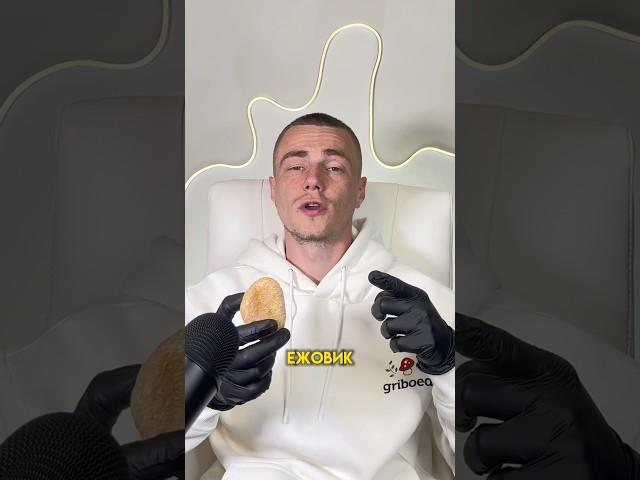 Что такое ежовик гребенчатый?