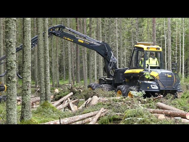 Ponsse Cobra harvester: first logging demo