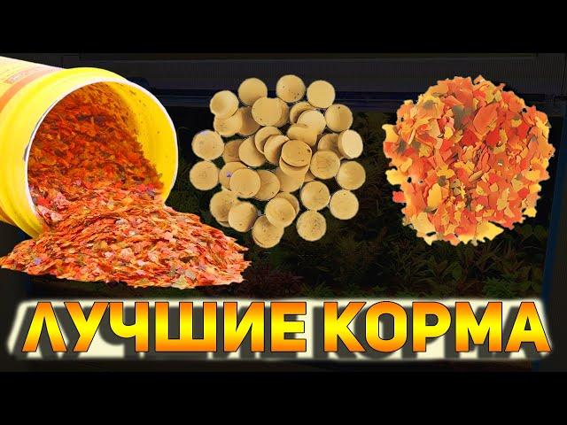 ТОП-5 Самый популярный и продаваемый сухой корм для аквариумных рыбок!