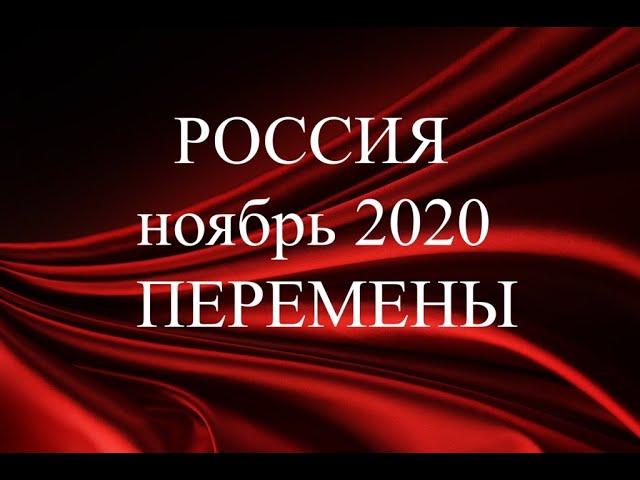 ТАРО Россия ноябрь 2020