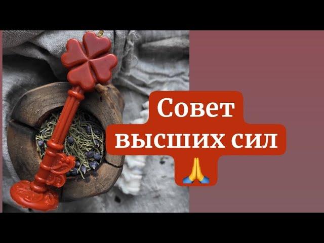 СОВЕТ ВЫСШИХ СИЛ И ТАРО️ #таро #tarot #гадание #прогнощтаро #ясновидение