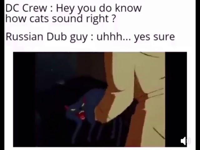 DC Crew: Hey you do know how cats sound right? Russian Dub Guy: Uhh.. yes