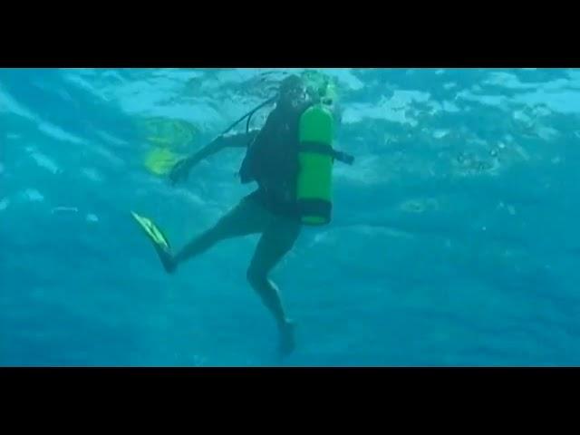 scuba diving girl bikini and scuba diving girl wetsuit