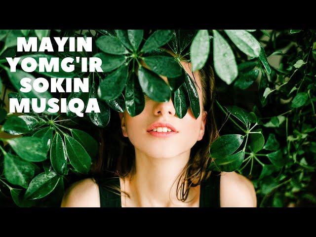 Asabni tinchlantiruvchi mayin yomg'ir ovozi va sokin gitara musiqasi [Meditatsiya uchun tinglang]