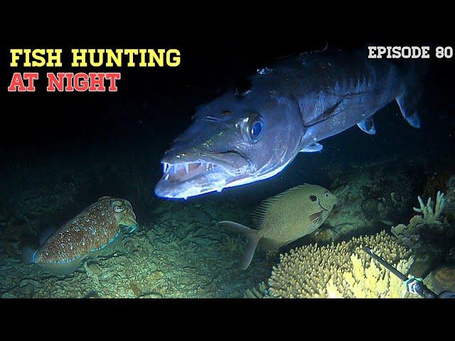 NIGHT SPEARFISHING EPISODE 80 | FISH HUNTING AT NIGHT