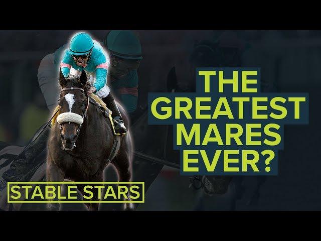 Girl Power! | Horse Racing's Top 10 Greatest Ever Mares Worldwide | From Enable & Winx To Zenyatta