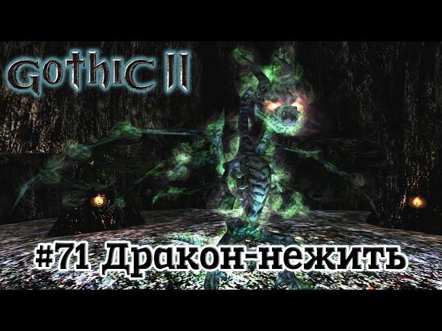Gothic 2 Ночь Ворона #71 Дракон-нежить(Точно Финал)