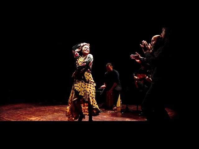 extraits ''iJarana!'' - spectacle flamenco 2020 - Cie flamenca Mathilde Antón