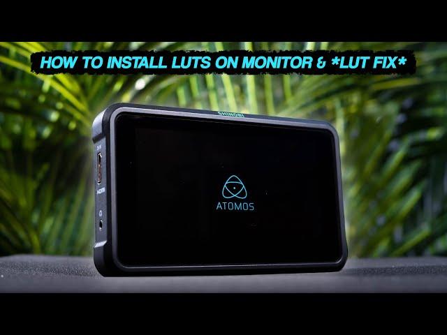 HOW TO INSTALL LUTS ON SHINOBI ATMOS MONITOR & *FIX LUTS NOT SHOWING UP*