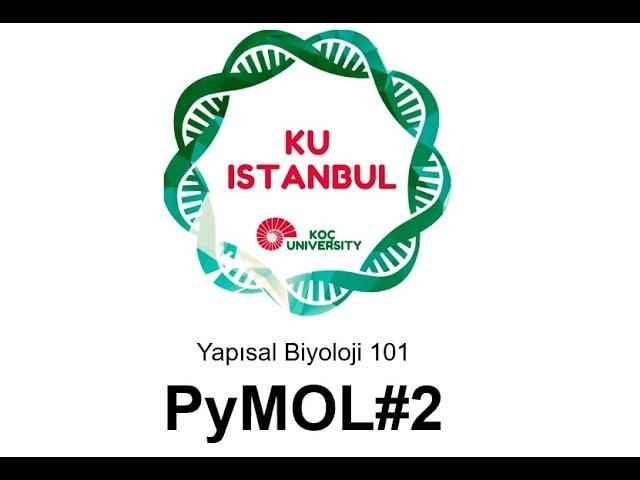 Yapısal Biyoloji 101| PyMOL#2