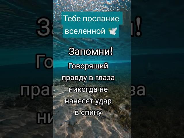 Принимай в комментариях с щедростью, БЛАГО ДАРЯ из любви к СЕБЕ  #мудрость #психология