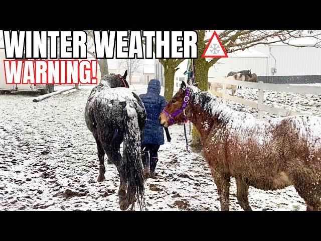 INSANELY BUSY DAY PREPPING THE BARN & 10 HORSES FOR A MAJOR WINTER STORM!!!