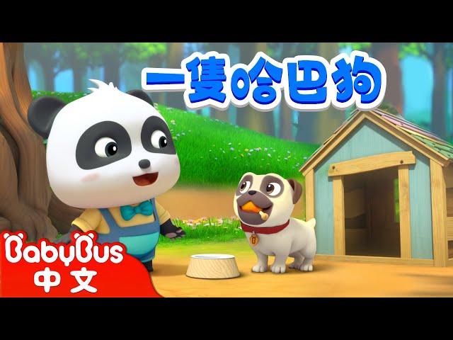 和小狗一起玩耍 + 更多 | 經典中文兒歌 | 動物朋友 Animal Friends | 兒歌 | Kids Song | 童謠 | 動畫 | 卡通片 | BabyBus | 寶寶巴士