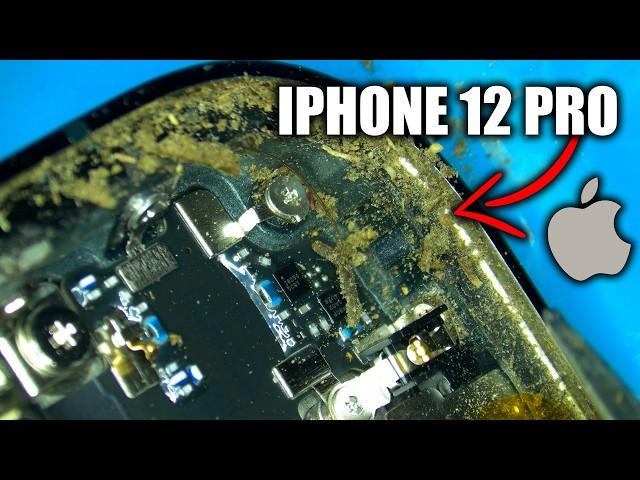 Ремонт (Reboot) iPhone 12 PRO. Внутри грязь и вода + БОНУС