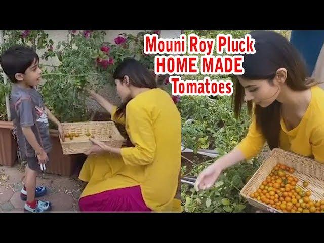 Mouni Roy PLUCKS JUICY HOME TOMATOES for Cooking with Nephew in Lockdown