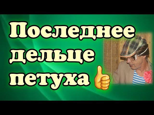 Последняя кража и экспромт / Петух рассказывает о себе