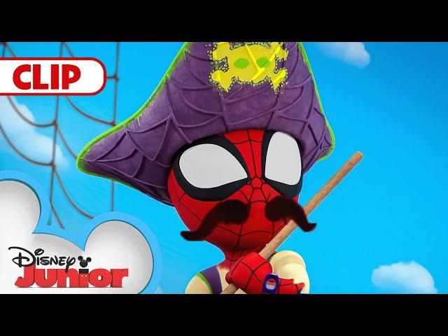 Pirate Spidey! ‍️ | Marvel's Spidey and his Amazing Friends | @disneyjr