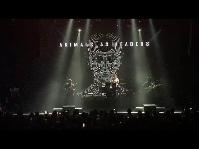 Animals As Leaders - Wave of Babies (Live @ Moscow Red Club 07-08-2019)