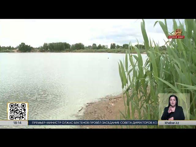 В Актобе выясняют причину гибели рыбы в реке Илек