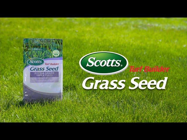 How to Use Scotts® Turf Builder® Grass Seed