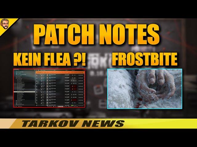 Kein FLEA MARKET?! Patch Notes zum Wipe 0.16 - Tarkov News