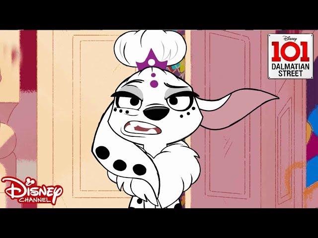 My Fair Dolly | 101 Dalmatian Street | Disney Channel Africa