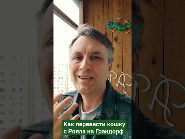 Не переводите на хороший корм резко