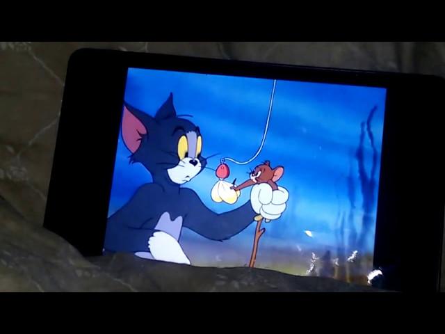 Tom and Jerry Fandubs (The Cat and the Mermouse)