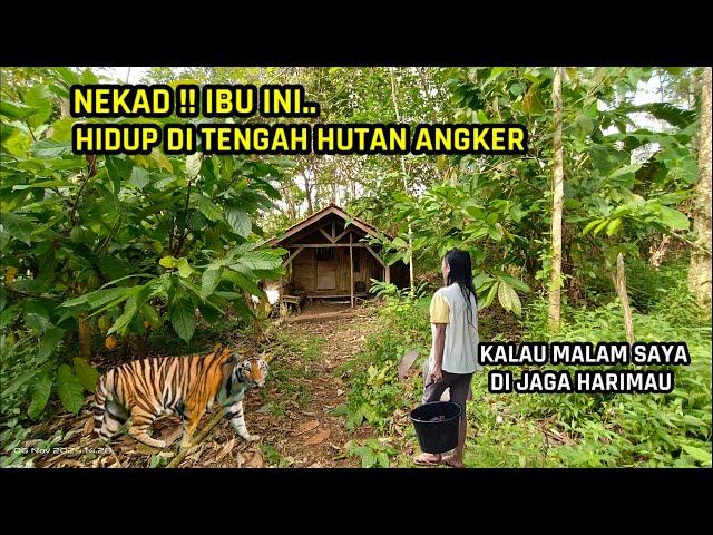 Nekad !! Ibu Ini Tinggal Di Hutan Angker ! Kalau Malam Di Jaga Harimau Siluman Penguasa Hutan.