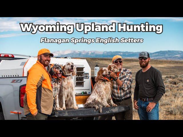 Wyoming Upland Hunting: Flanagan Springs Kennel English Setters