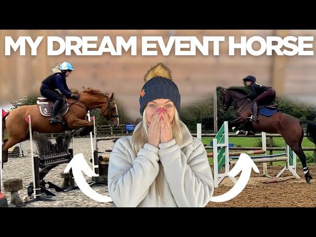 BUYING MY DREAM EVENT HORSE | VLOGMAS 1