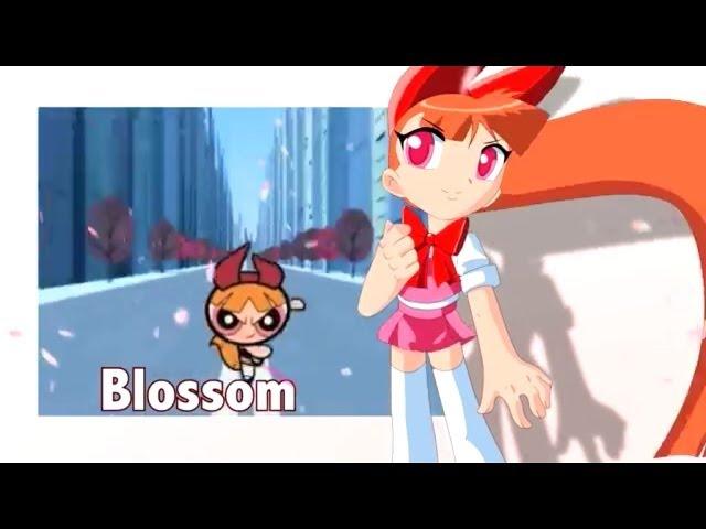 Powerpuff Girls D Opening Animation