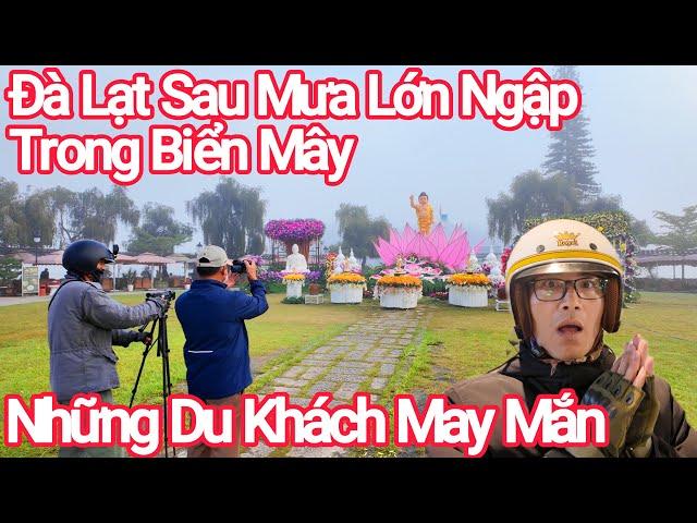Đà Lạt Sau Mưa Lớn Ngập Trong Biển Mây, May Mắn Thấy Cảnh Này