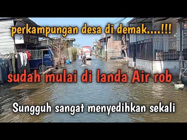 perkampungan desa di demak sudah mulai di landa rob...