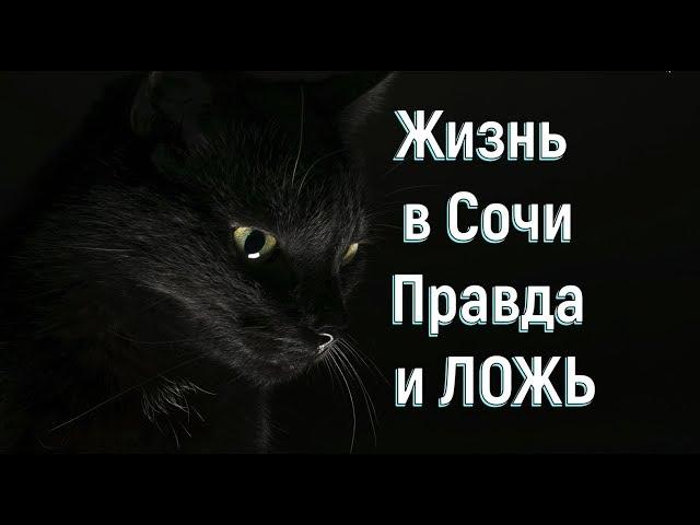 НЕ ДАЙ БОГ ТАК ЖИТЬ.Чтобы потом ТАК МУЧИТЬСЯ.Жизнь в Сочи.Путешествие по России.