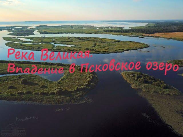 Река Великая, Псковская область. Аэросъемка устья. The Velikaya river, Pskov region