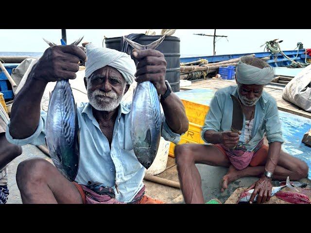 Tuna Fish Curry | நடுக்கடலில் சமைத்த சூரை மீன் குழம்பு