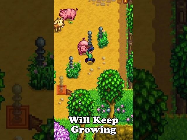 5 Game Mechanics You Might Not Know about in Stardew Valley #stardewvalley #philchill #gaming