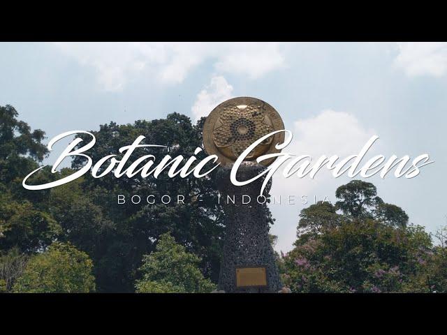 Bogor Botanical Garden Indonesia | Cinematic Video