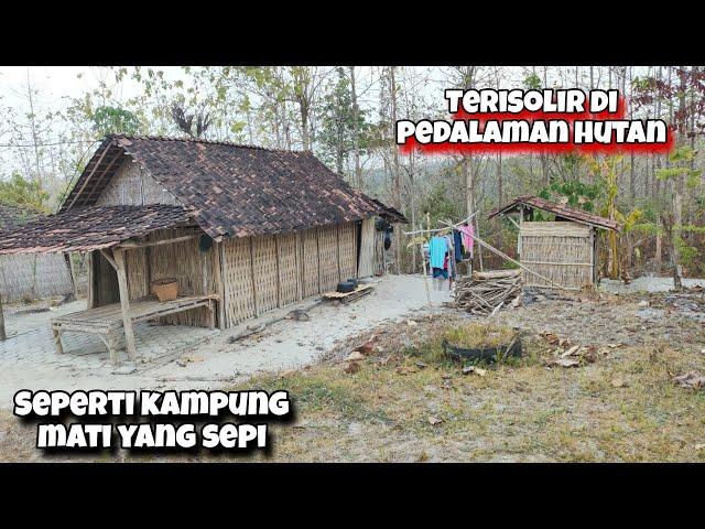 Seperti Kampung Suku Jawa Kuno Masih Alami Dipedalaman Hutan Perbatasan Blora - Bojonegoro