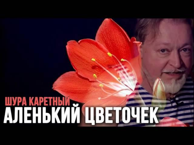 Шура Каретный - Аленький цветочек